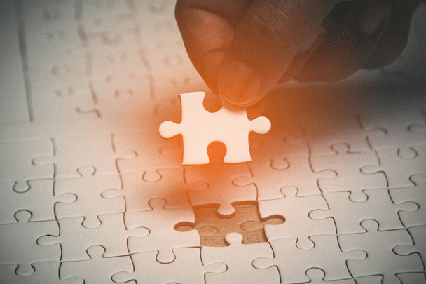 19 نکته ضروری درباره سگ هاوانیز: راهنمای جامع از تولد تا تربیت