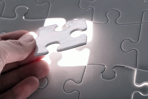 19 نکته مهم در برنامه غذایی سگ ژرمن شپرد بالغ و توله