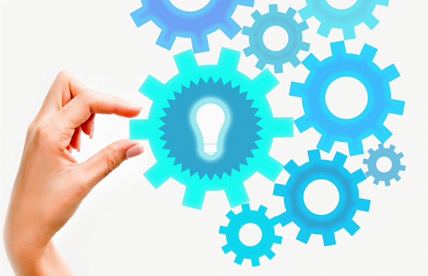 16 نکته مهم درباره سگ داشهوند (سگ سوسیسی) و نحوه نگهداری از آن